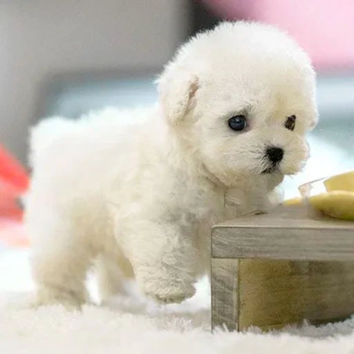Realistic Plush Puppy Toy – Soft Stuffed Dog for Kids, Gift & Nursery Decor