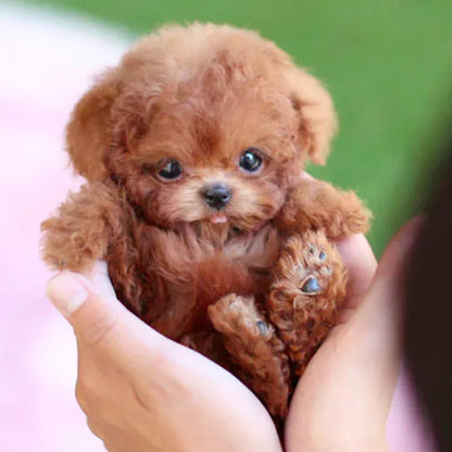Realistic Plush Puppy Toy – Soft Stuffed Dog for Kids, Gift & Nursery Decor